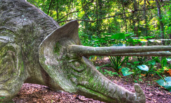 Free Activities & Attractions